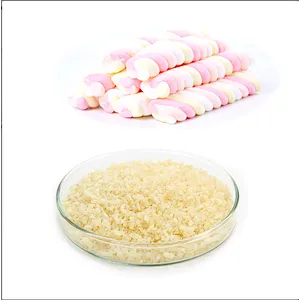 Gelatin for Food/Hot Seller Food Gelatin/Bovine Gelatin Plant