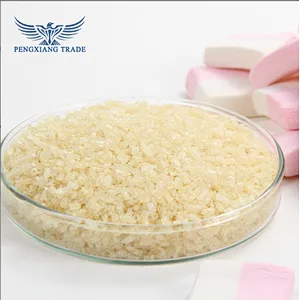 Gelatin for Food/Hot Seller Food Gelatin/Bovine Gelatin Plant